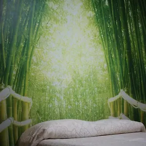 La Casa Dell'orso Bed & Breakfast Ciampino